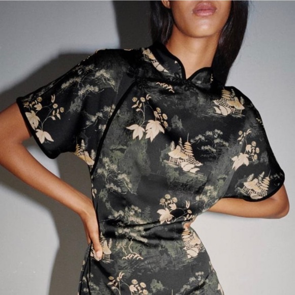 Zara | Dresses | Zara Print Frog Button Dress | Poshmark